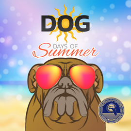 Dog Days of Summer
