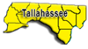 Tallahassee Laboratory Services