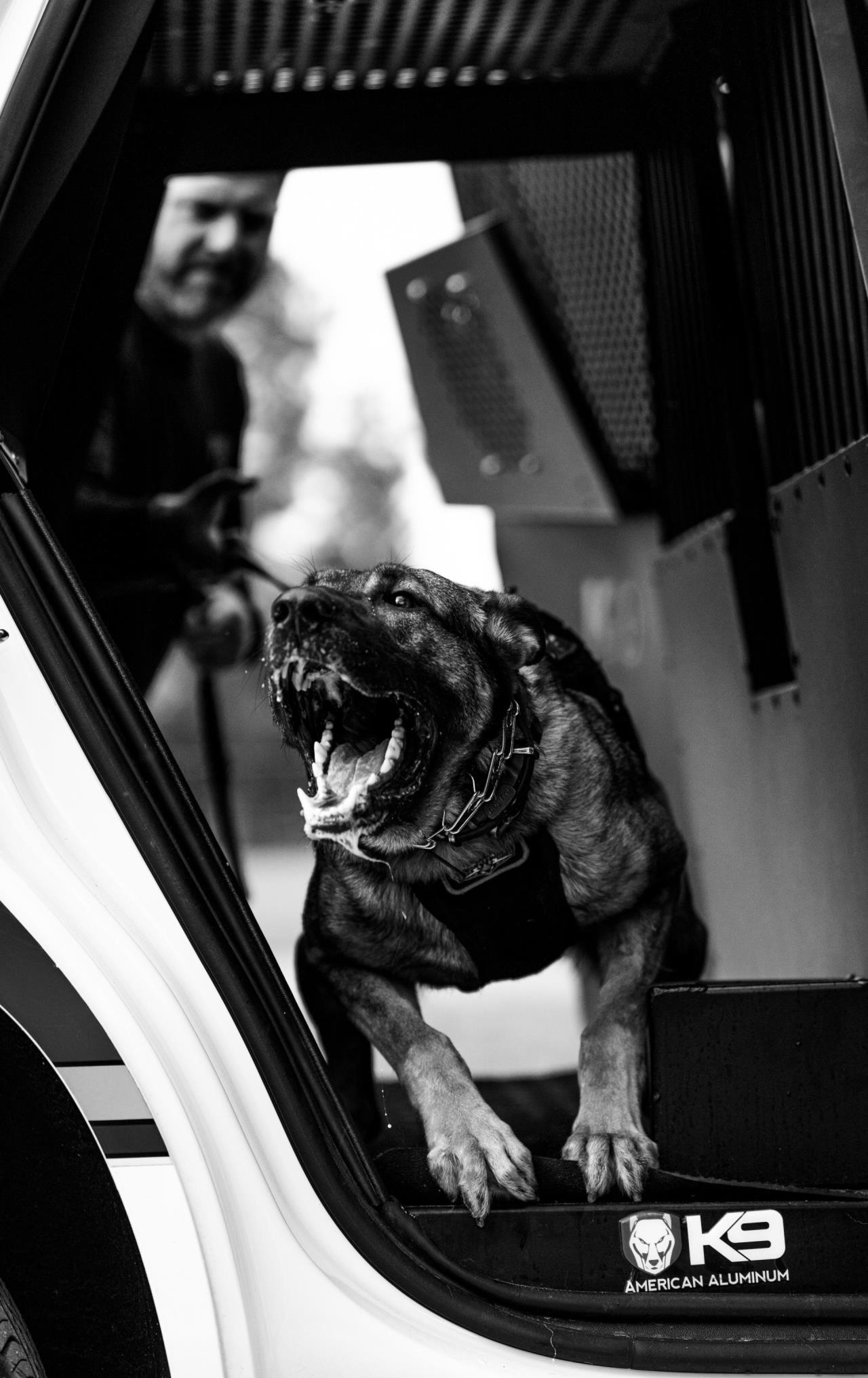 K9 JAG in his Patrol Car.